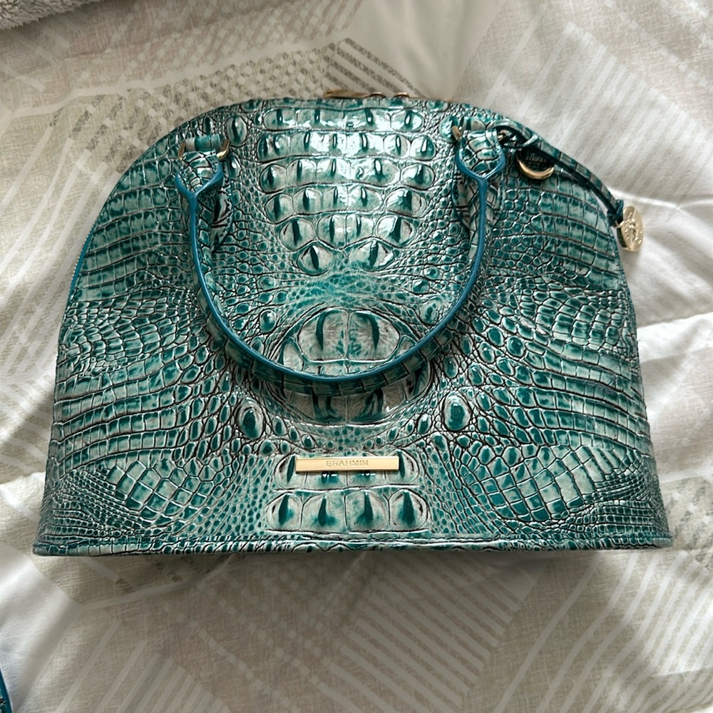 Brahmin handbag